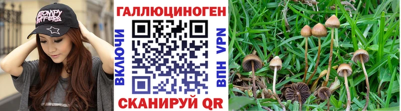 Галлюциногенные грибы мицелий  Купить  Закаменск 